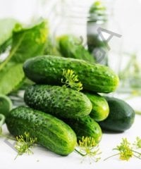 5 Adet Sofralık Domates 5 Adet Kornişon Salatalık 5 Adet Süs Biber Sebze Fidesi