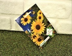 Süs AyÇiçeği Tohumu 1 Paket (50 Adet Tohum) Çiçek Tohumları