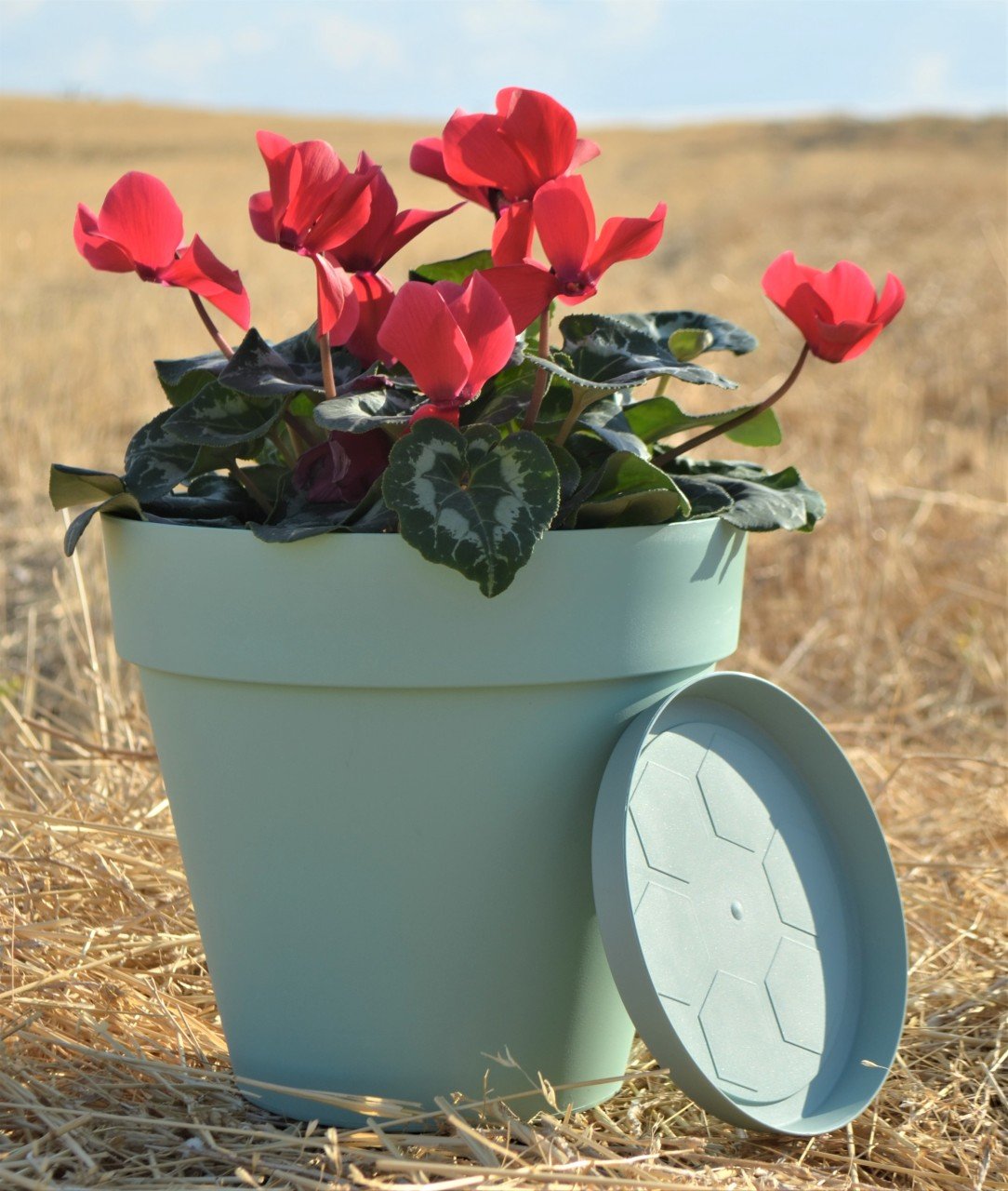 Renkli Saksı 6 LT 3 Adet Su Yeşili Renk Yalı Model Plastik Tabaklı Çiçek Saksısı