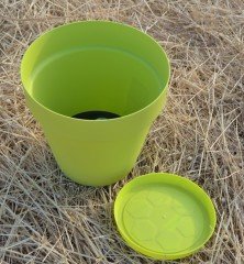 Renkli Saksı 6 LT 1 Adet Fıstık Yeşili Renk Yalı Model Plastik Tabaklı Çiçek Saksısı