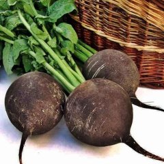 Siyah Turp Tohumu 1 Paket 10 gr (3000 Adet Tohum)  Turp Tohumu Sebze Tohumu