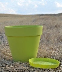 Renkli Saksı 6 LT 2 Adet Fıstık Yeşili Renk Yalı Model Plastik Tabaklı Çiçek Saksısı