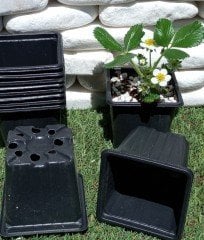 10 Adet Kare Vakum Saksı 9x9x8 CM Ucuz Saksı Üretim Saksısı