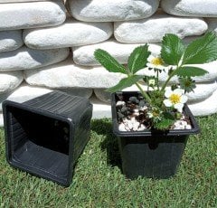 10 Adet Kare Vakum Saksı 9x9x8 CM Ucuz Saksı Üretim Saksısı