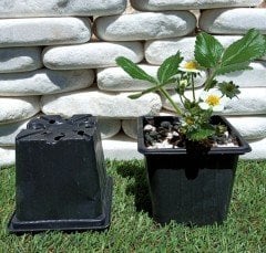 10 Adet Kare Vakum Saksı 9x9x8 CM Ucuz Saksı Üretim Saksısı