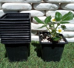 Kare Vakum Saksı 9x9x8 CM Ucuz Saksı Üretim Saksısı 5 ADET