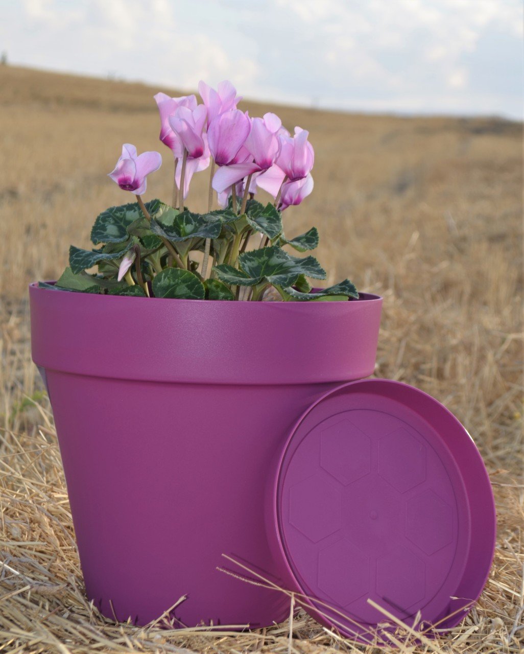 Renkli Saksı 10 LT 3 Adet Vişne Renk Yalı Model Plastik Tabaklı Çiçek Saksısı