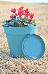 Renkli Saksı 10 LT 2 Adet Petrol Yeşili Renk Yalı Model Plastik Tabaklı Çiçek Saksısı