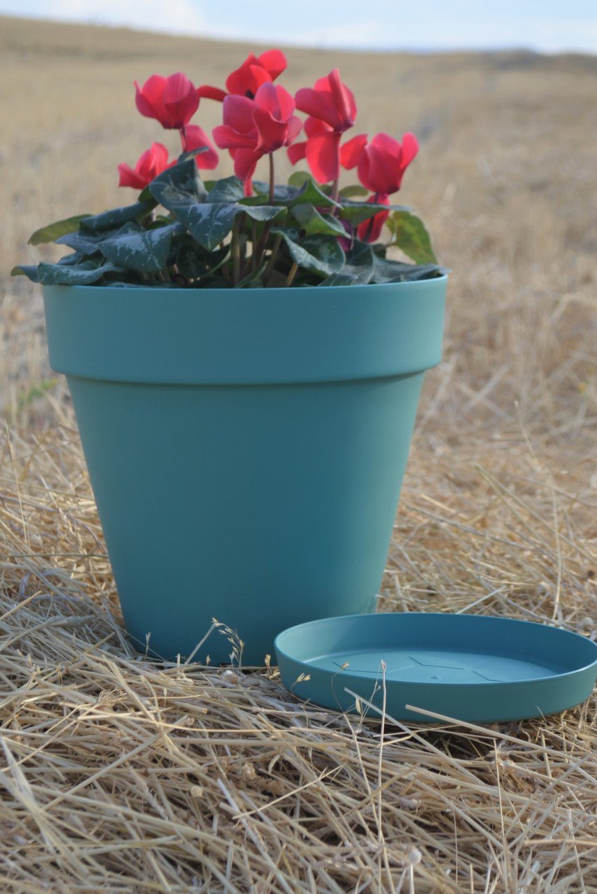 Renkli Saksı 10 LT 3 Adet Petrol Yeşili Renk Yalı Model Plastik Tabaklı Çiçek Saksısı