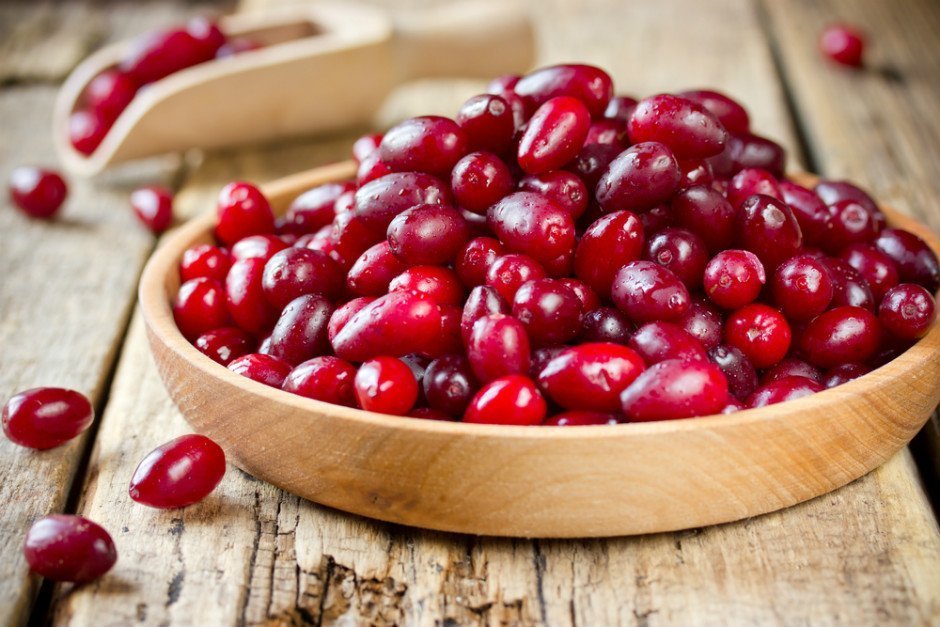Kızılcık Tohumu 50 GR Tıbbi Aromatik Bitki Tohumu