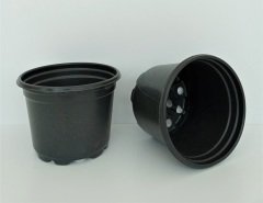 10 Adet Vakum Saksı 9X7 CM Ucuz Saksı Üretim Saksısı