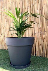 Renkli Saksı 23 LT 2 Adet Antrasit Renk Yalı Model Plastik Tabaklı Çiçek Saksısı