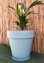 Renkli Saksı 23 LT 1 Adet Su Yeşili Renk Yalı Model Plastik Tabaklı Çiçek Saksısı