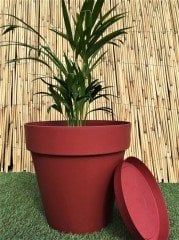 Renkli Saksı 46 LT 1 Adet Kırmızı Renk Yalı Model Plastik Tabaklı Çiçek Saksısı