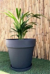 Renkli Saksı 46 LT 1 Adet Antrasit Renk Yalı Model Plastik Tabaklı Çiçek Saksısı