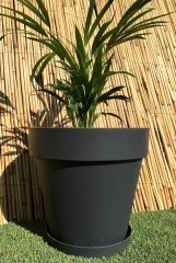 Renkli Saksı 46 LT 1 Adet Antrasit Renk Yalı Model Plastik Tabaklı Çiçek Saksısı