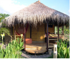 Bambu Otu 3x2  1 Adet Çatı Otu Bali Evi Otu Dekoratif Ot Kamelya Otu