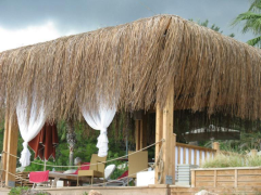 Bambu Otu 3x2  1 Adet Çatı Otu Bali Evi Otu Dekoratif Ot Kamelya Otu