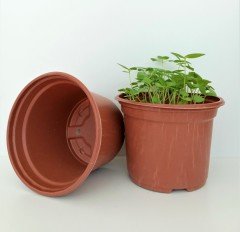 15 Adet Vakum Saksı 12X9 CM Ucuz Saksı Üretim Saksısı