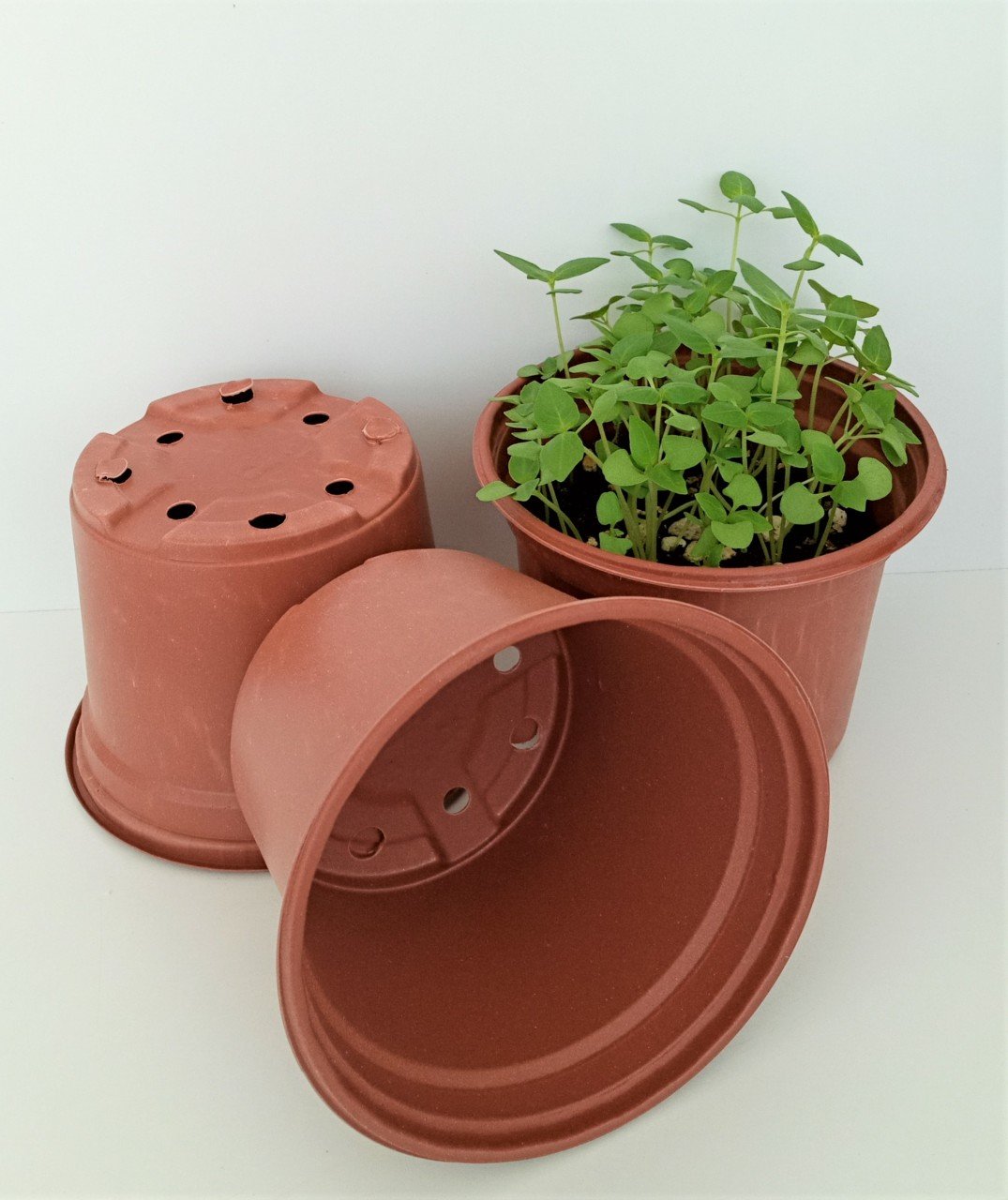 15 Adet Vakum Saksı 12X9 CM Ucuz Saksı Üretim Saksısı