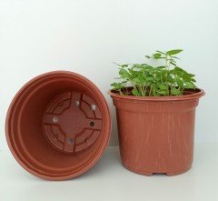 50 Adet Vakum Saksı 12X9 CM Ucuz Saksı Üretim Saksısı