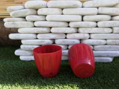 Renkli Saksı 0,7 LT 1 Adet Kırmızı Renk Papatya Model Plastik Tabaklı Çiçek Saksısı