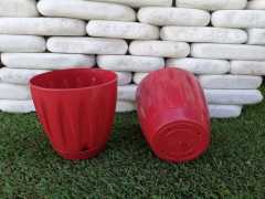 Renkli Saksı 0,7 LT 3 Adet Kırmızı Renk Papatya Model Plastik Tabaklı Çiçek Saksısı