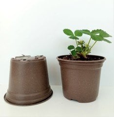 100 Adet Vakum Saksı 13X10 CM Ucuz Saksı Üretim Saksısı