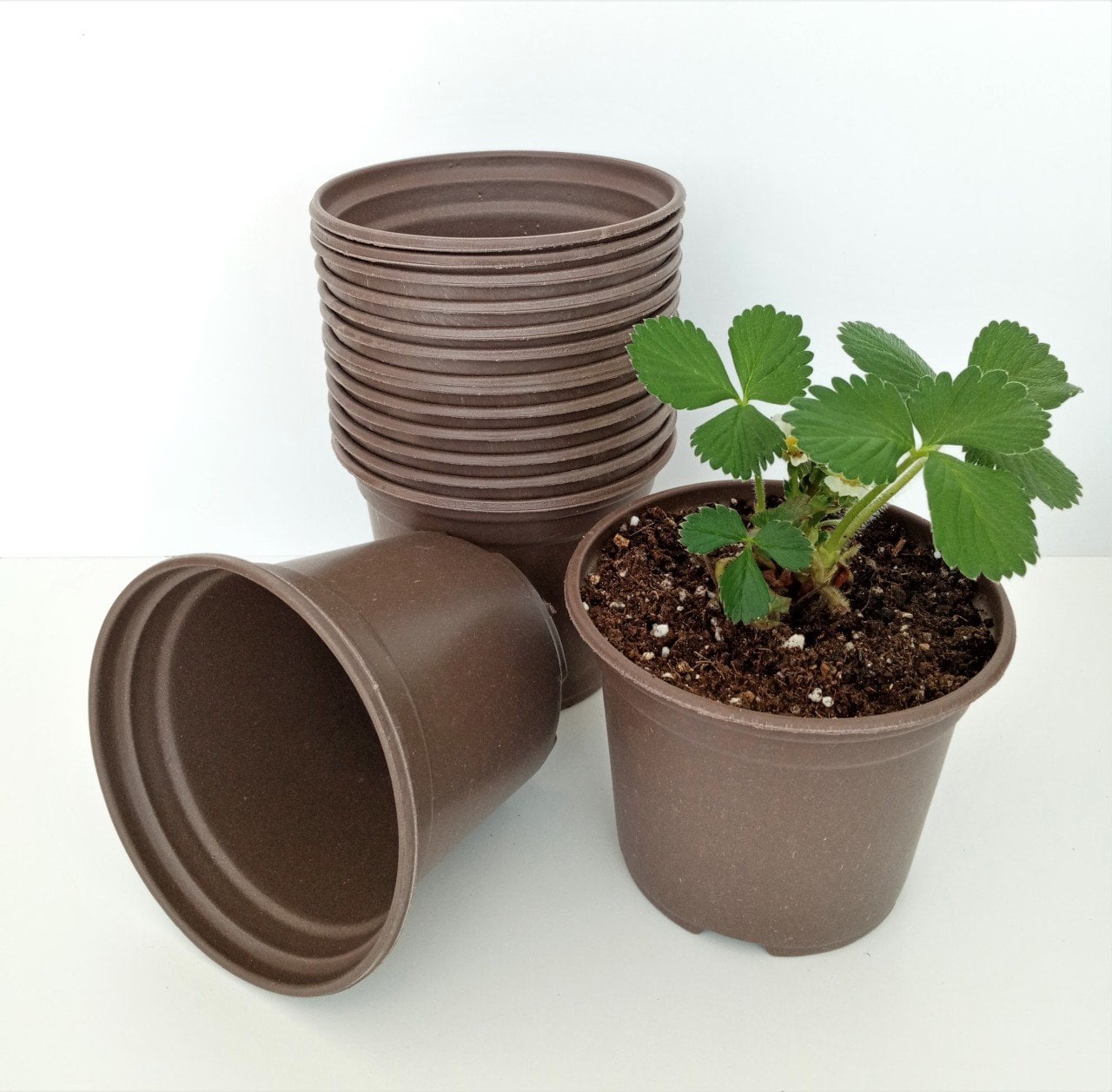 100 Adet Vakum Saksı 13X10 CM Ucuz Saksı Üretim Saksısı