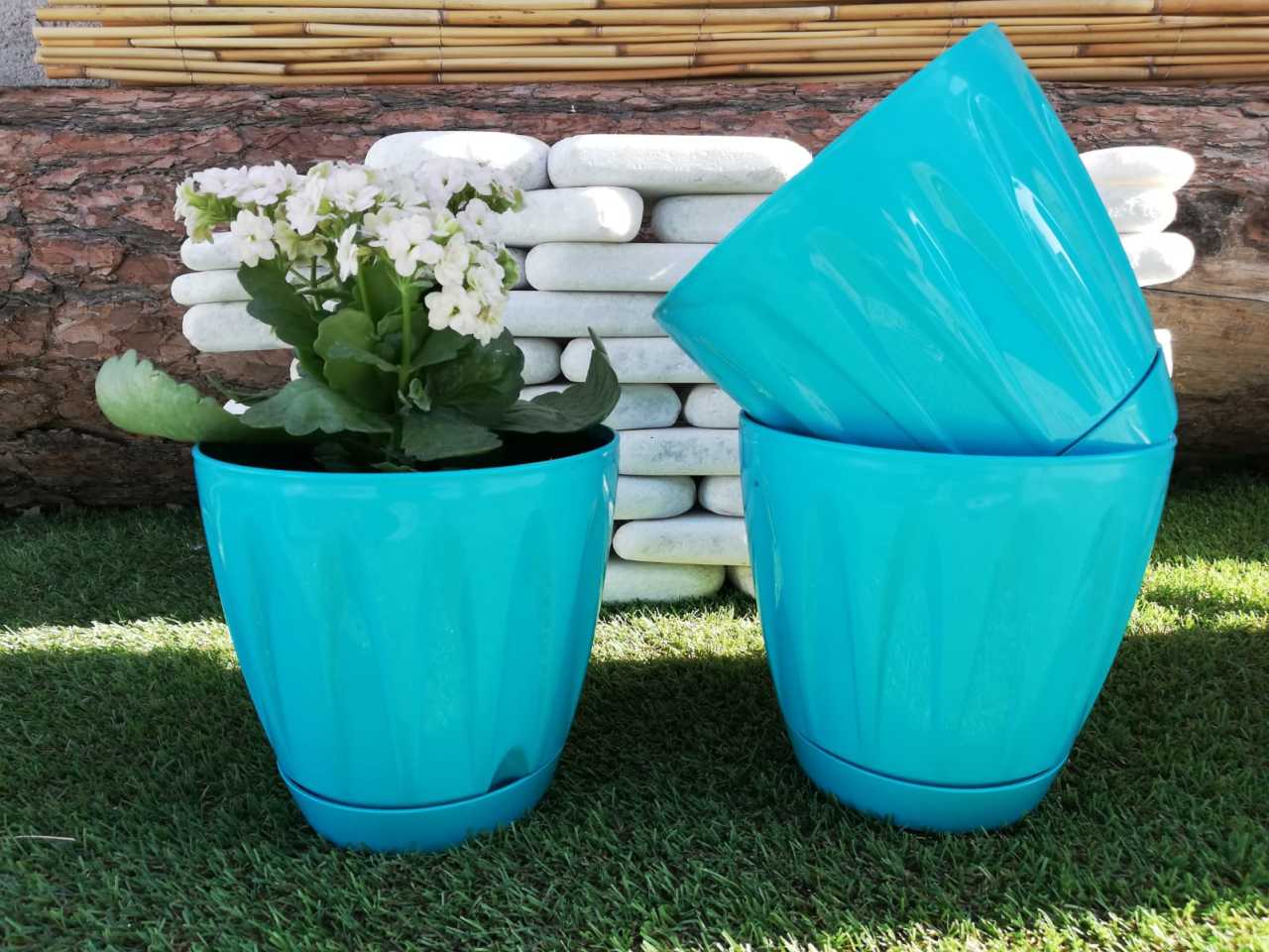Renkli Saksı 0,7 LT 3 Adet Turkuaz Renk Papatya Model Plastik Tabaklı Çiçek Saksısı
