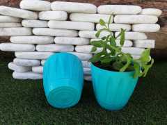 Renkli Saksı 0,7 LT 3 Adet Turkuaz Renk Papatya Model Plastik Tabaklı Çiçek Saksısı