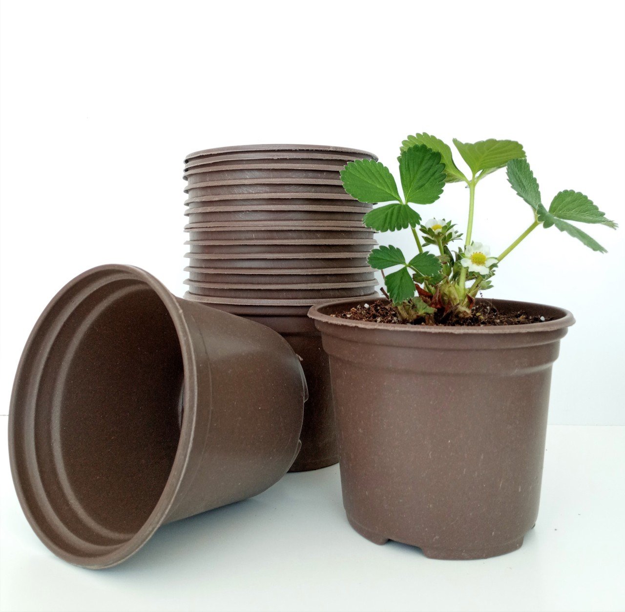 25 Adet Vakum Saksı 13X10 CM Ucuz Saksı Üretim Saksısı