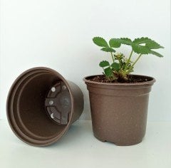 20 Adet Vakum Saksı 13X10 CM Ucuz Saksı Üretim Saksısı