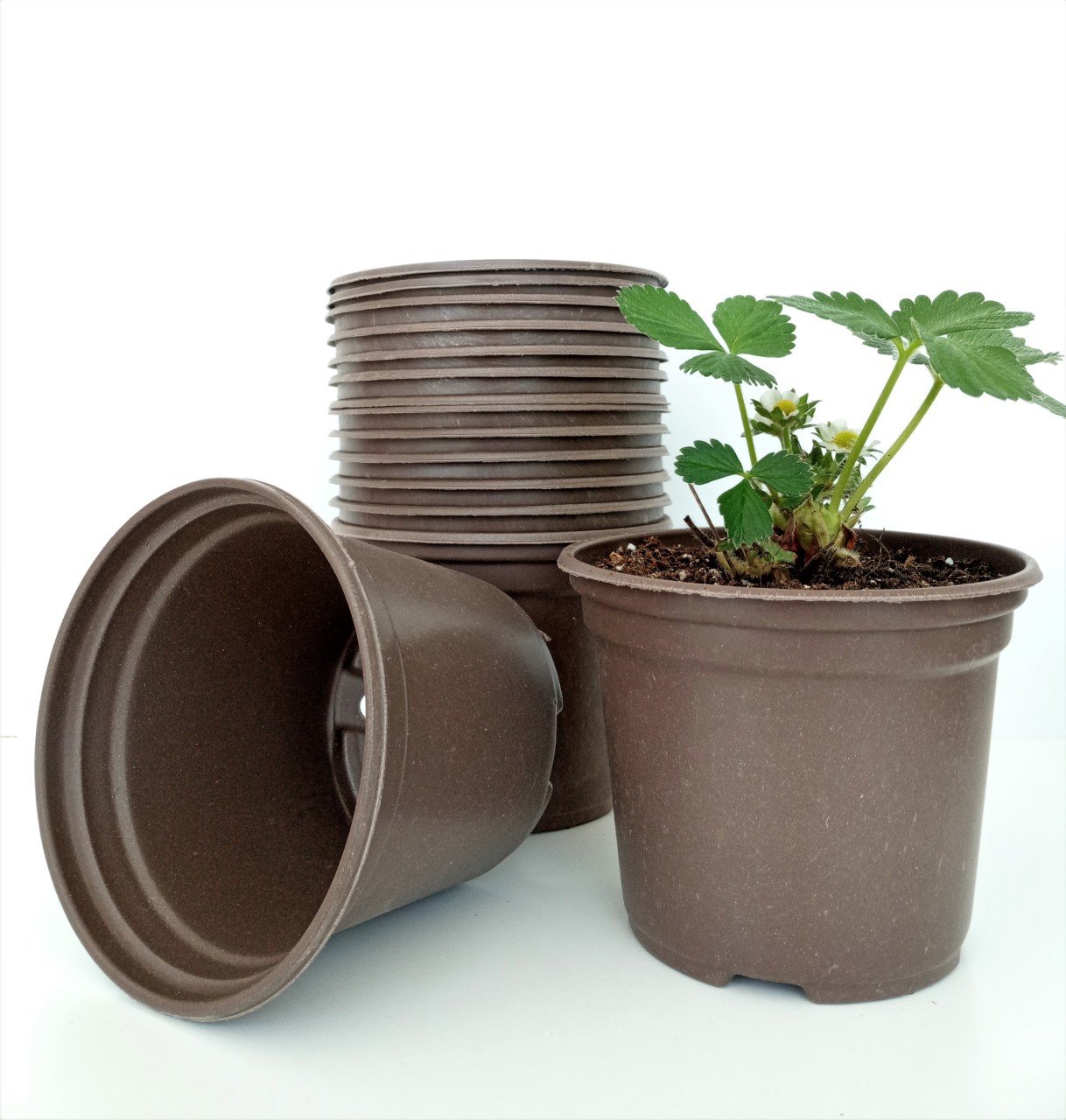 20 Adet Vakum Saksı 13X10 CM Ucuz Saksı Üretim Saksısı