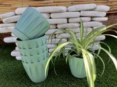 Renkli Saksı 0,7 LT 2 Adet Su Yeşili Papatya Model Plastik Tabaklı Çiçek Saksısı