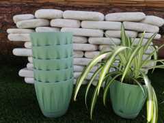 Renkli Saksı 0,7 LT 2 Adet Su Yeşili Papatya Model Plastik Tabaklı Çiçek Saksısı