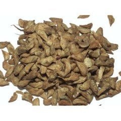 Toros Sediri 75 Gr (1000 Adet Tohum) Süs Bitkisi Tohumu