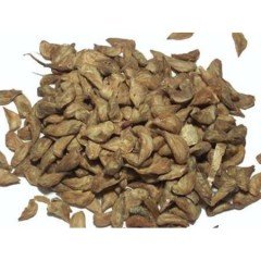 Toros Sediri 200 Gr (2500 Adet Tohum) Süs Bitkisi Tohumu