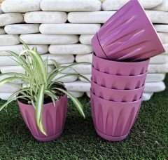 Renkli Saksı 0,7 LT 3 Adet Mor Renk Papatya Model Plastik Tabaklı Çiçek Saksısı