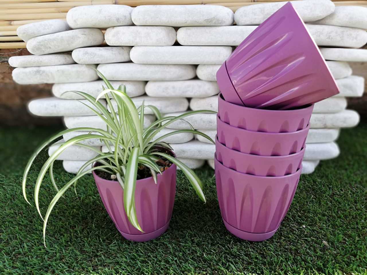 Renkli Saksı 0,7 LT 3 Adet Mor Renk Papatya Model Plastik Tabaklı Çiçek Saksısı