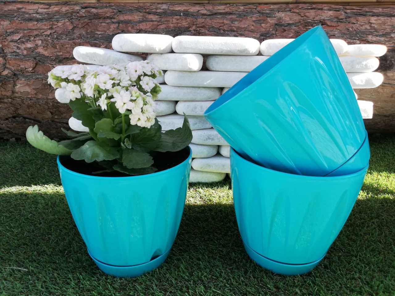 Renkli Saksı 1,5 LT 2 Adet Turkuaz Renk Papatya Model Plastik Tabaklı Çiçek Saksısı