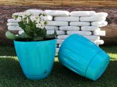 Renkli Saksı 1,5 LT 2 Adet Turkuaz Renk Papatya Model Plastik Tabaklı Çiçek Saksısı