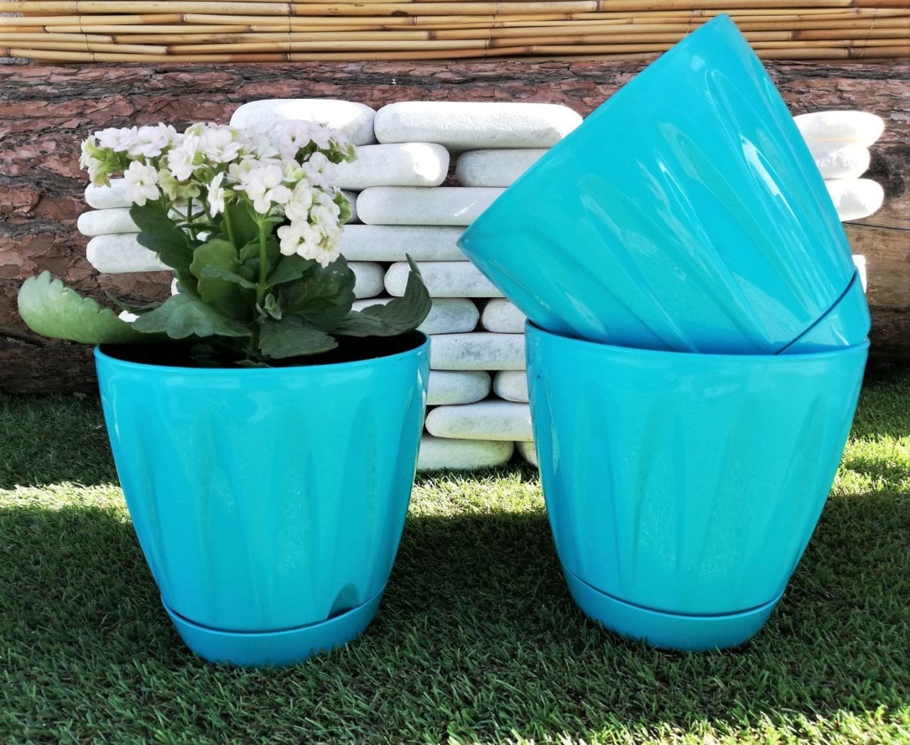 Renkli Saksı 1,5 LT 3 Adet Turkuaz Renk Papatya Model Plastik Tabaklı Çiçek Saksısı