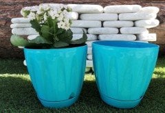 Renkli Saksı 1,5 LT 3 Adet Turkuaz Renk Papatya Model Plastik Tabaklı Çiçek Saksısı