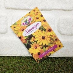 Afrika Papatyası Çiçeği Tohumu 1 Paket (100 Adet Tohum) Çiçek Tohumları