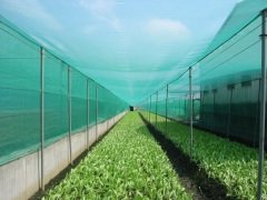 Gölgelik File 6x15 Metre % 35\' lik Dikişli Yeşil Bahçe Örtüsü Bahçe Filesi