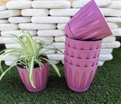 Renkli Saksı 1,5 LT 1 Adet Mor Renk Papatya Model Plastik Tabaklı Çiçek Saksısı