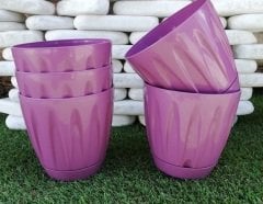 Renkli Saksı 1,5 LT 2 Adet Mor Renk Papatya Model Plastik Tabaklı Çiçek Saksısı