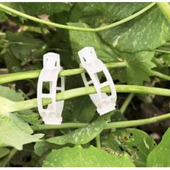 Domates Klipsi 100 Adet Sera Bitki Klipsi Sebze Klipsi Domates Kelepçesi