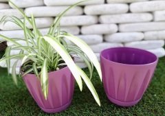 Renkli Saksı 1,5 LT 3 Adet Mor Renk Papatya Model Plastik Tabaklı Çiçek Saksısı